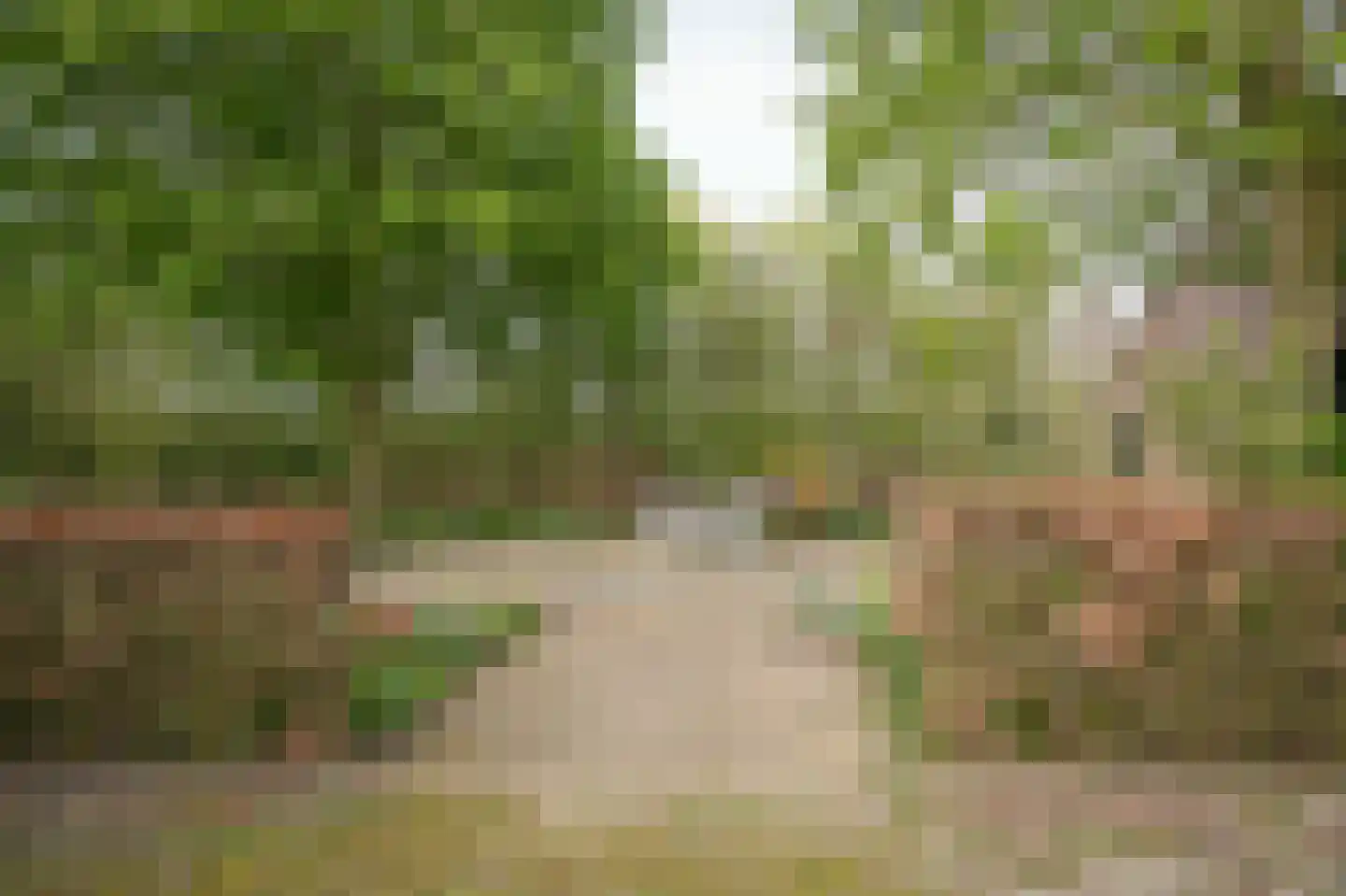 Diepersestraat 1 Neerijnen thumbnail 71