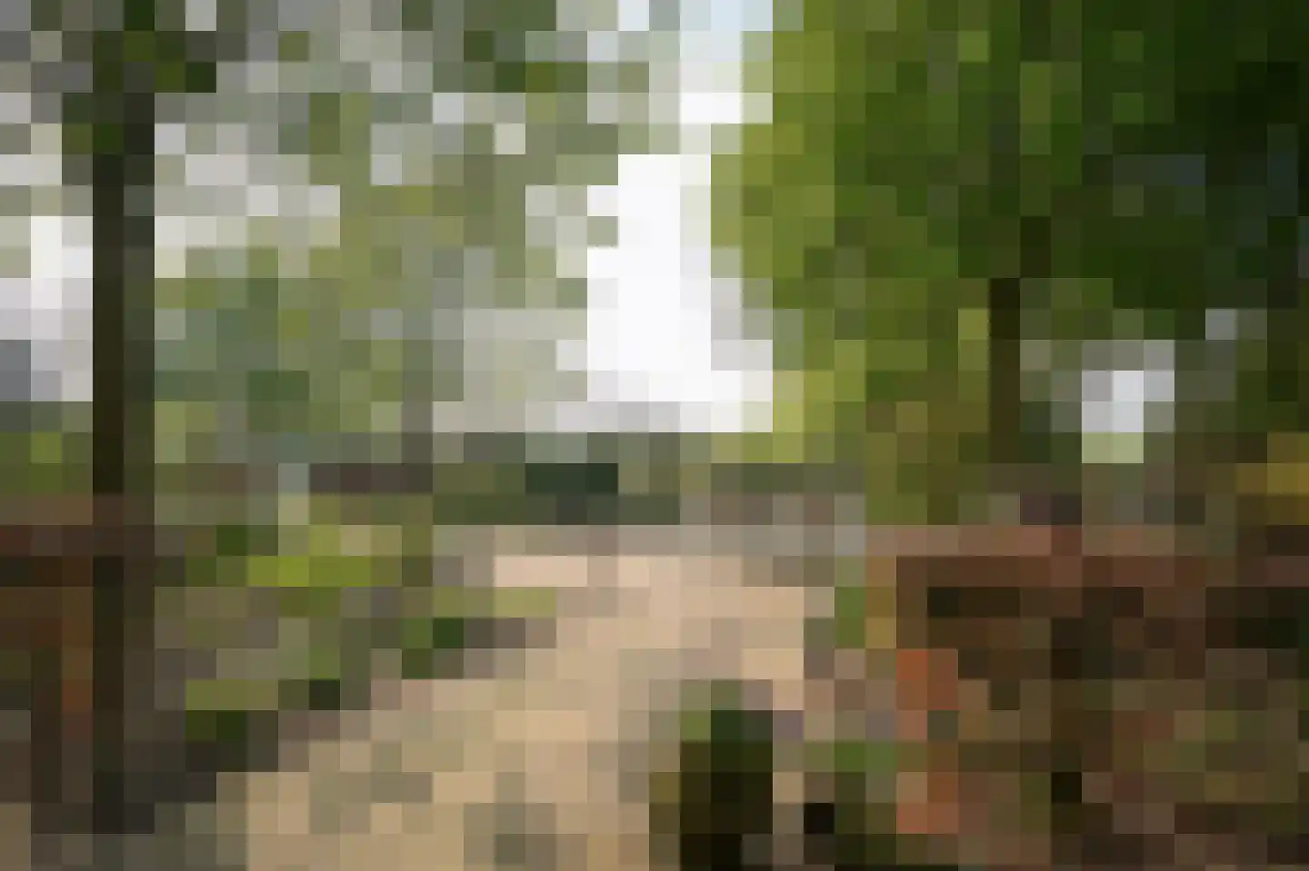 Diepersestraat 1 Neerijnen thumbnail 72