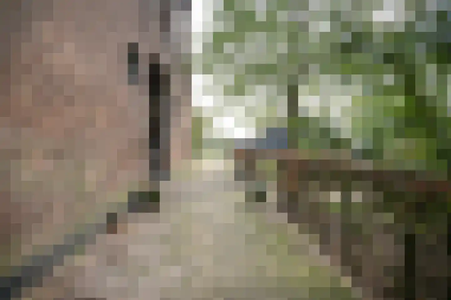 Diepersestraat 1 Neerijnen thumbnail 73