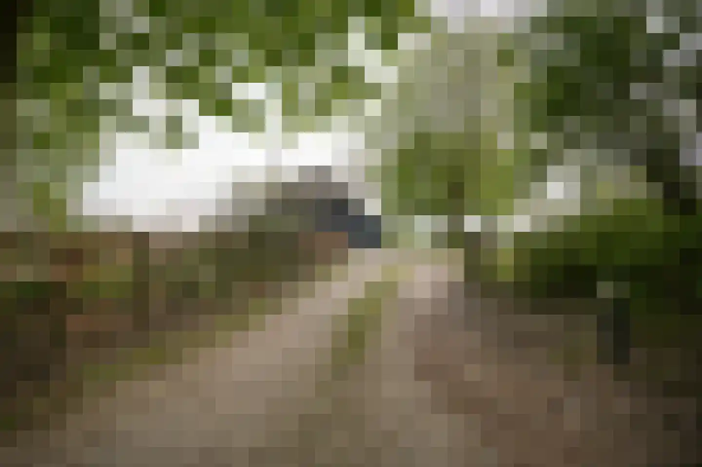Diepersestraat 1 Neerijnen thumbnail 75