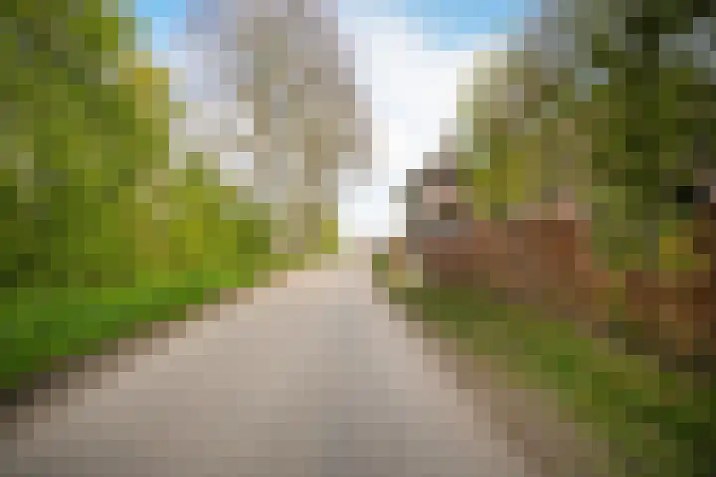 Diepersestraat 1 Neerijnen thumbnail 76