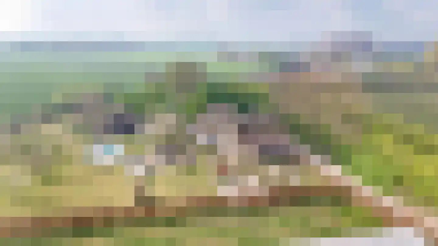 Diepersestraat 1 Neerijnen thumbnail 80