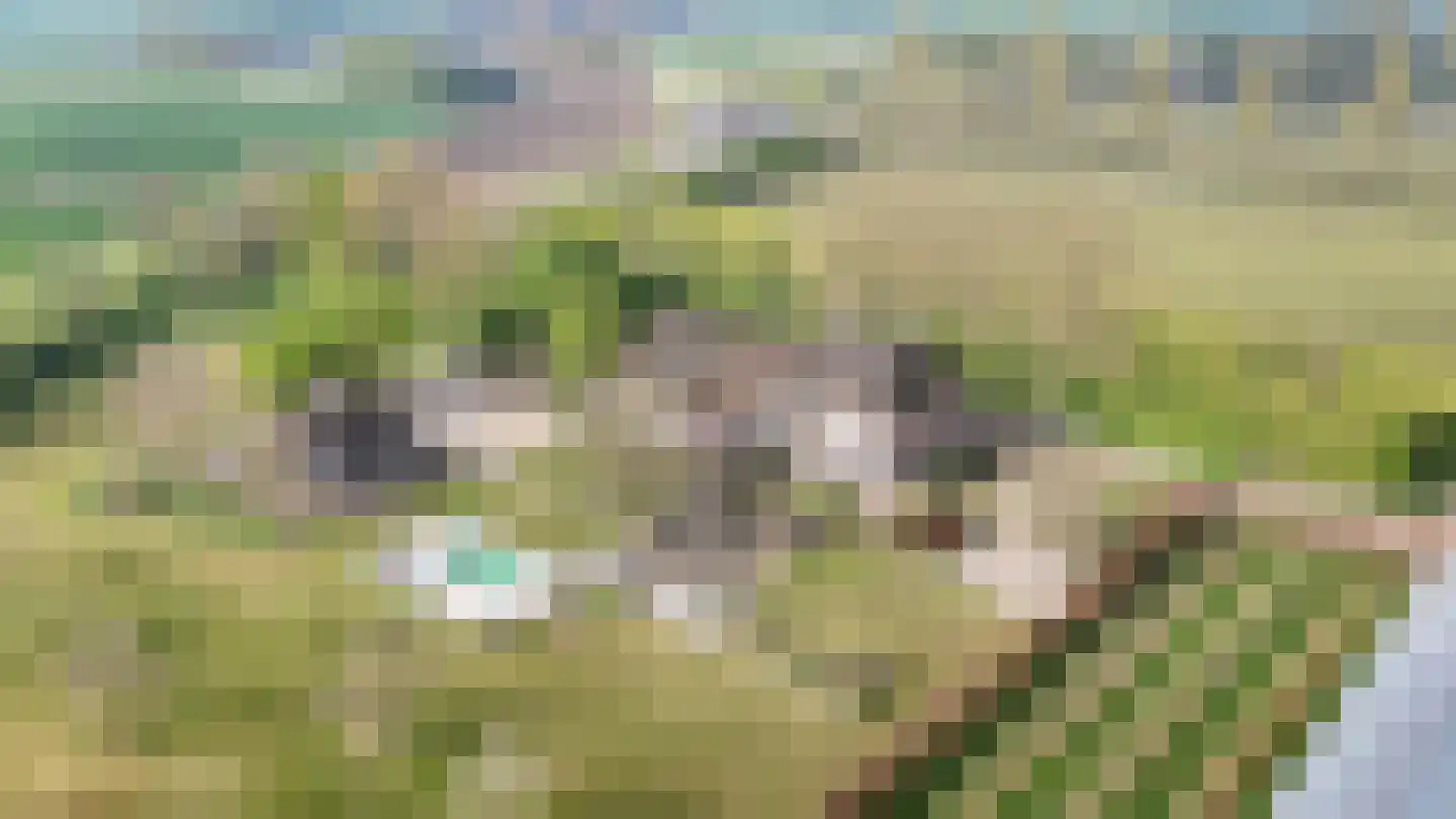 Diepersestraat 1 Neerijnen thumbnail 82