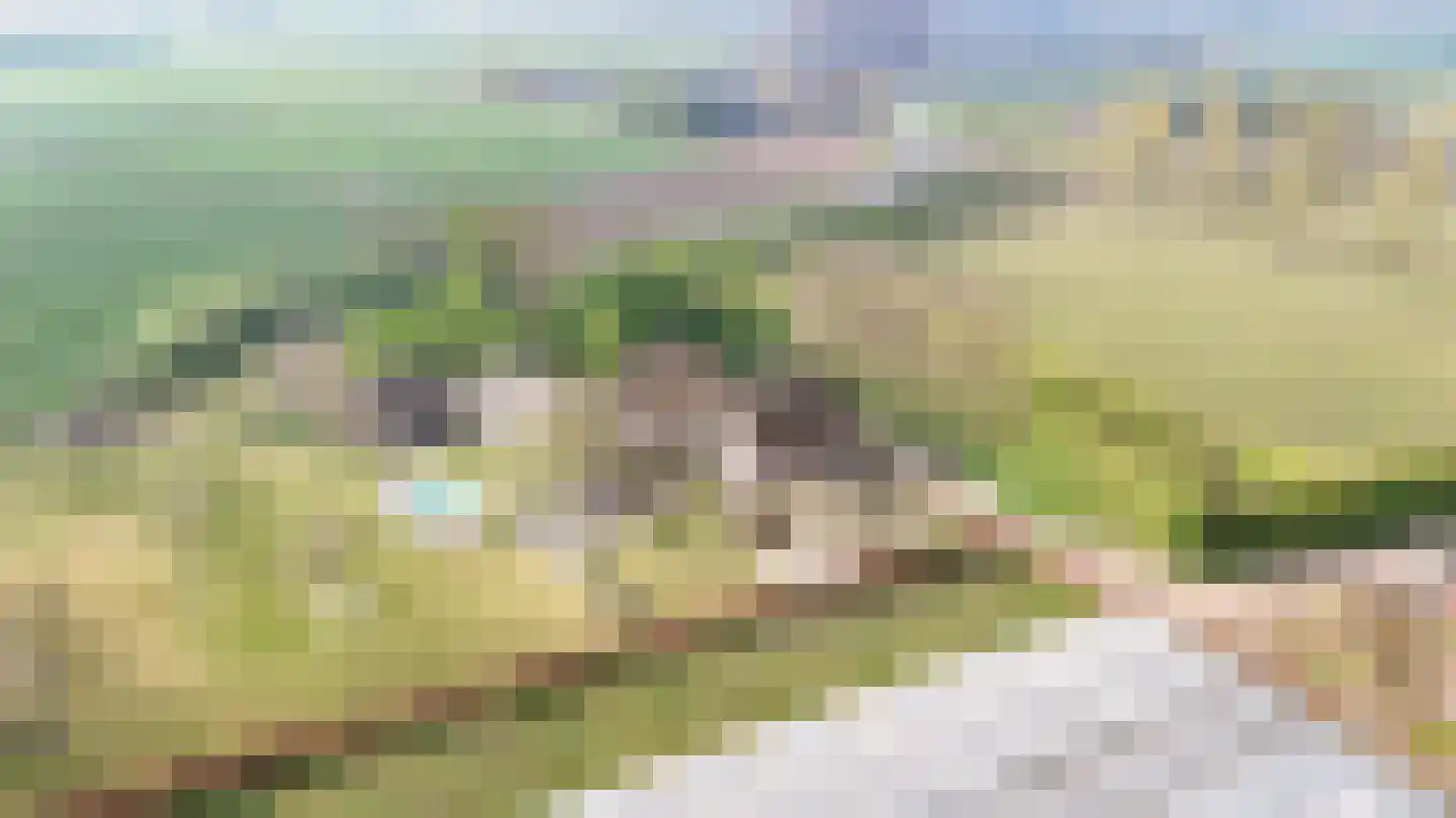 Diepersestraat 1 Neerijnen thumbnail 83