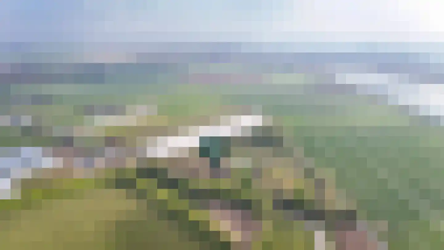 Diepersestraat 1 Neerijnen thumbnail 86