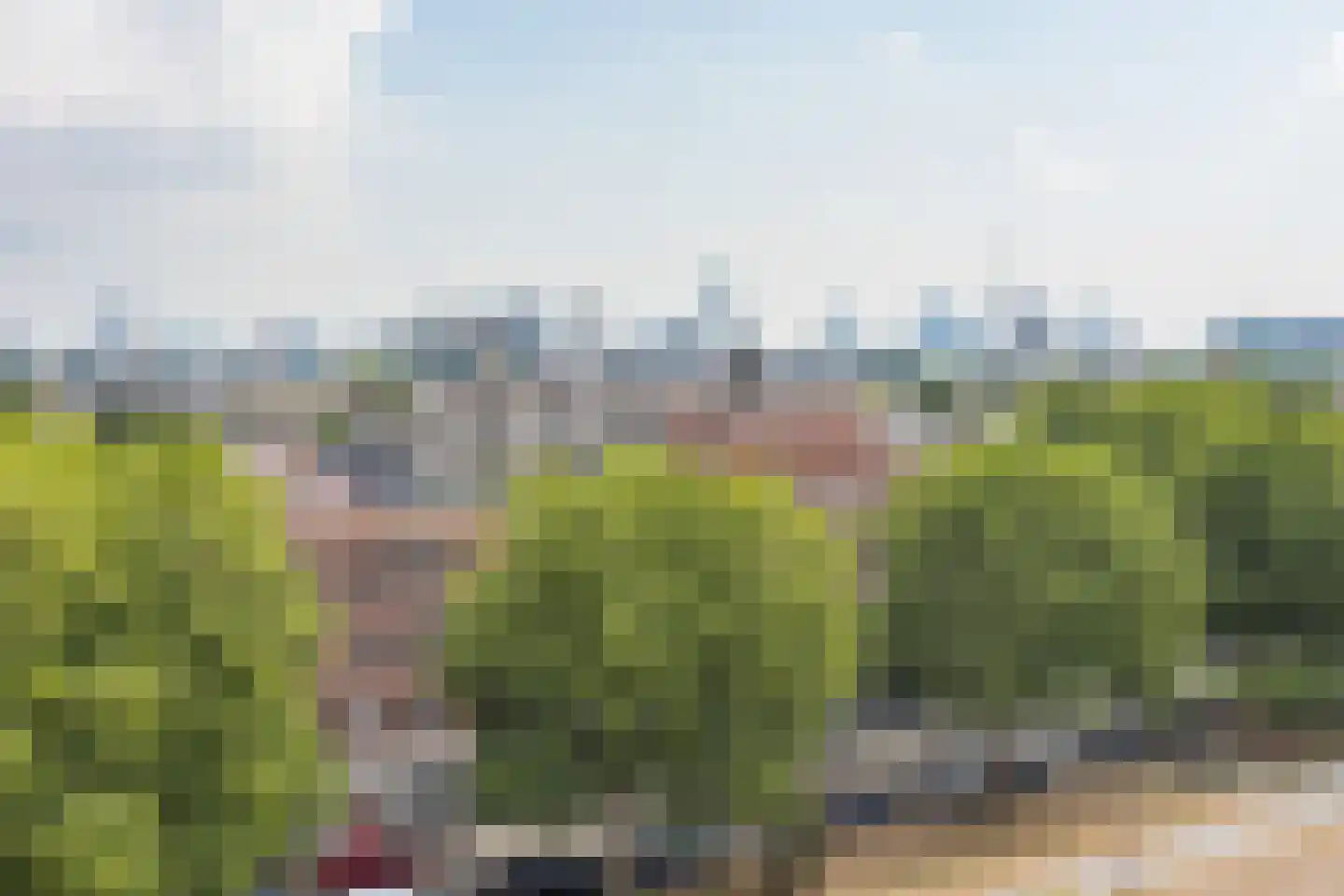 Diepeveenstraat 117 Rotterdam thumbnail 36