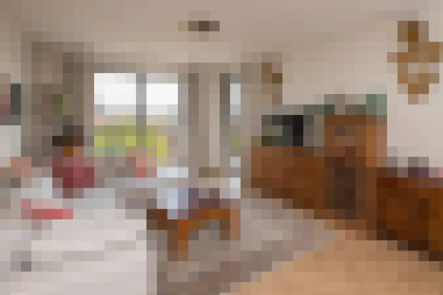Diepeveenstraat 117 Rotterdam thumbnail 7