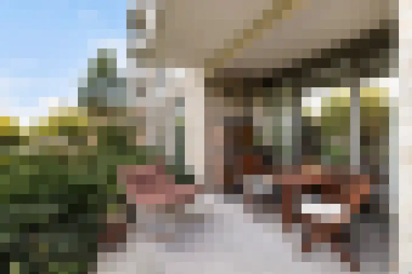 Diepeveenstraat 37 Rotterdam thumbnail 28