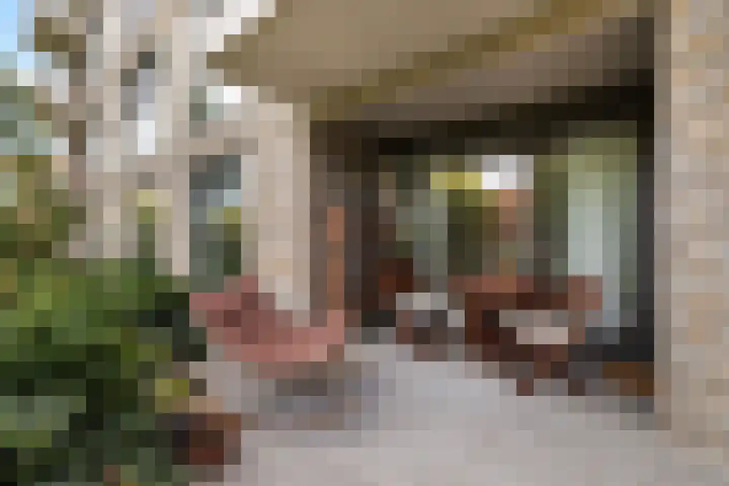 Diepeveenstraat 37 Rotterdam thumbnail 29
