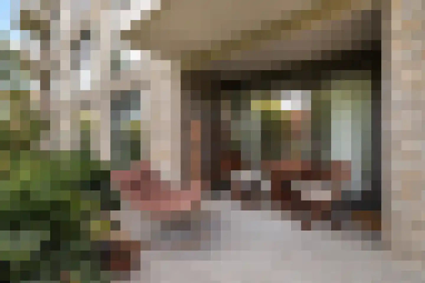 Diepeveenstraat 37 Rotterdam thumbnail 5