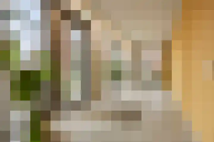 Diepeveenstraat 47 Rotterdam thumbnail 18