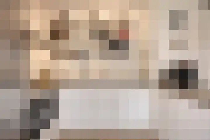 Diepeveenstraat 47 Rotterdam thumbnail 7