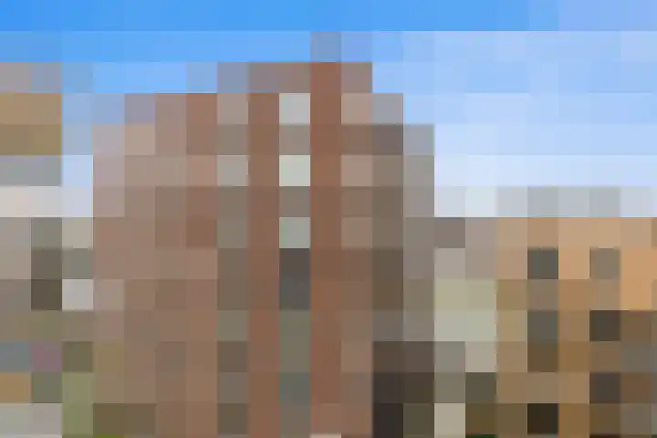 Diepeveenstraat 99 Rotterdam thumbnail 17