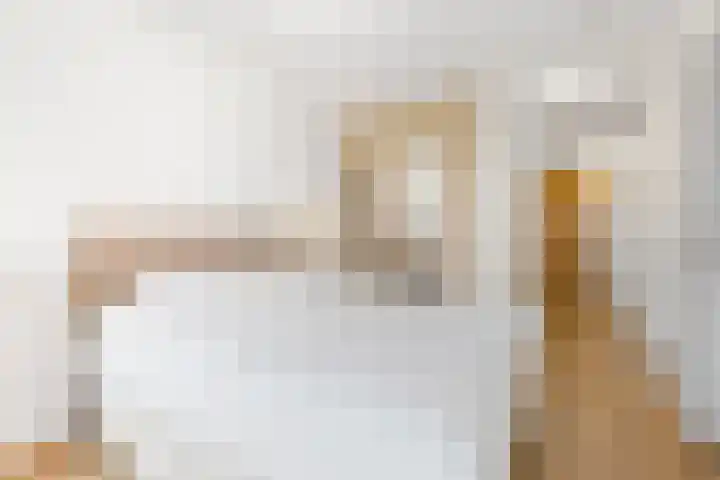Diepeveenstraat 99 Rotterdam thumbnail 26