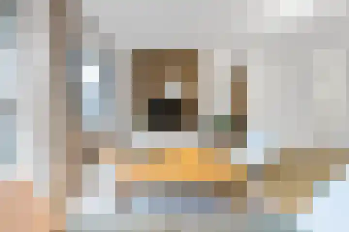 Diepeveenstraat 99 Rotterdam thumbnail 5
