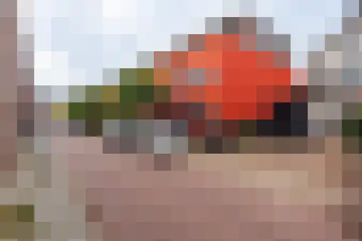 Diepeweg 13 B Hilversum thumbnail 19