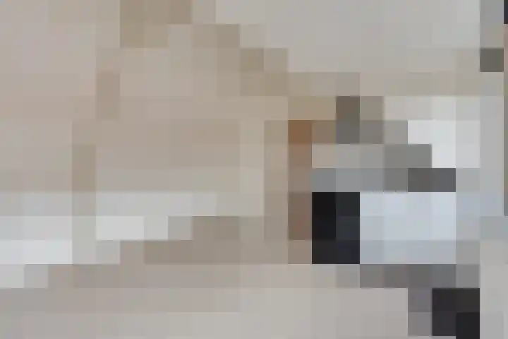 Diepeweg 13 B Hilversum thumbnail 4