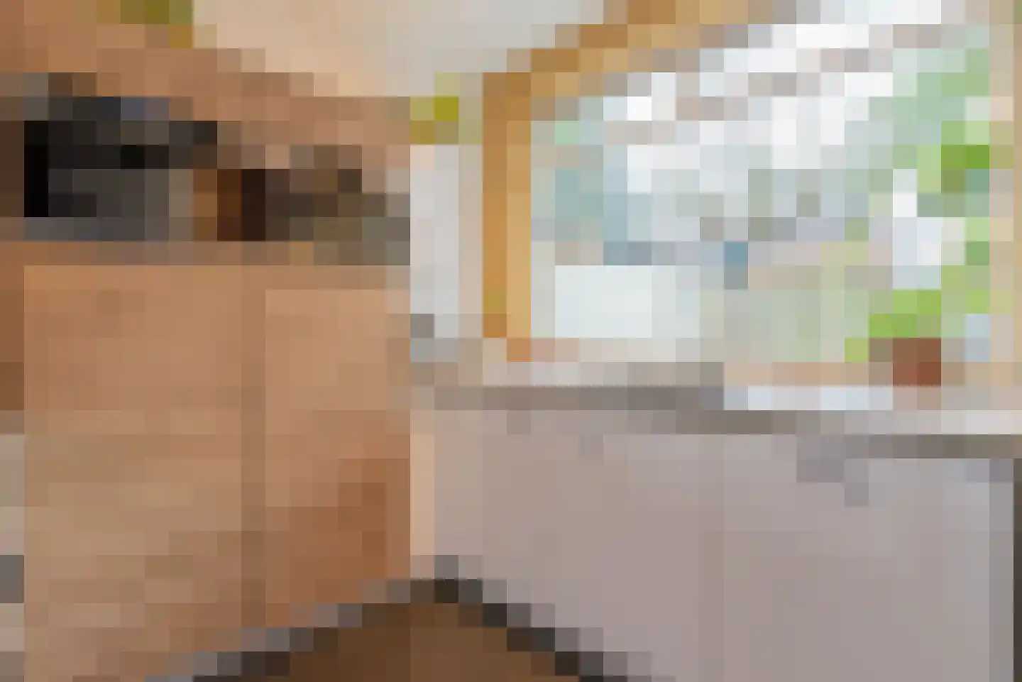 Diepeweg 39 Hilversum thumbnail 13
