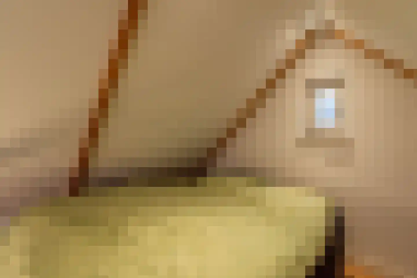 Diepeweg 39 Hilversum thumbnail 35