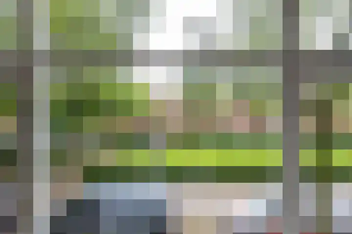 Diephuisstraat 10 a Groningen thumbnail 10