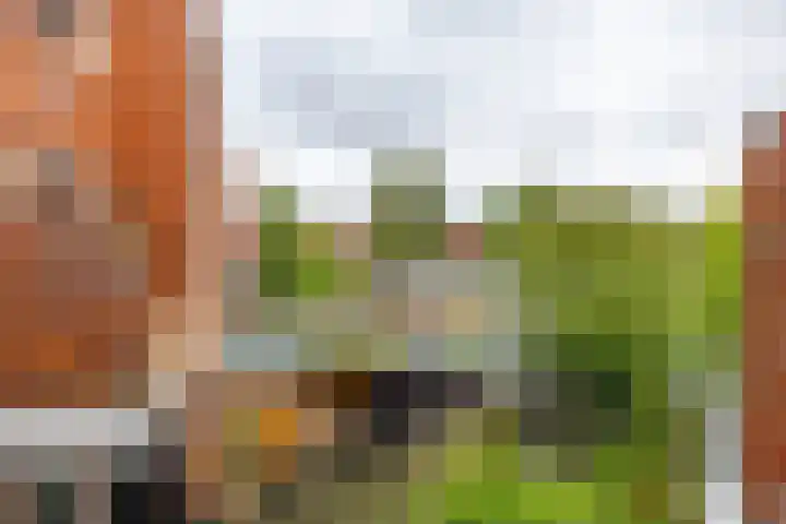 Diephuisstraat 10 a Groningen thumbnail 15