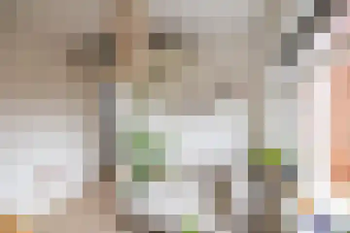 Diephuisstraat 10 a Groningen thumbnail 25