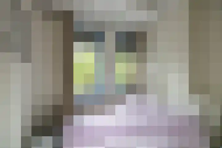 Diephuisstraat 10 a Groningen thumbnail 27