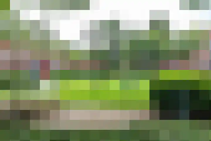 Diephuisstraat 10 a Groningen thumbnail 29