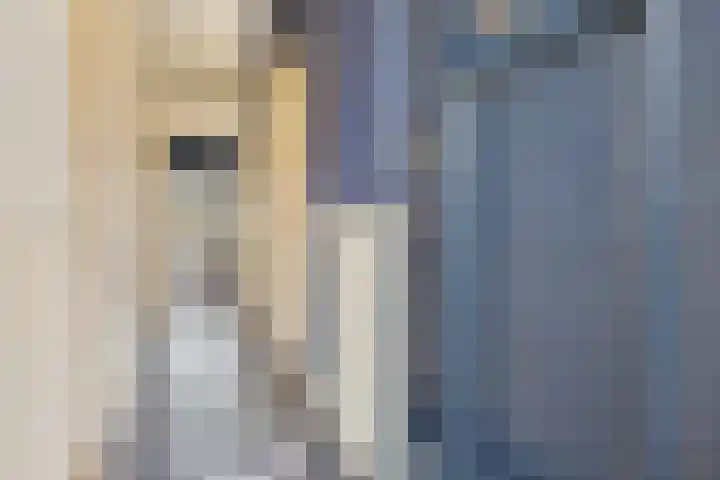 Diephuisstraat 13 Groningen thumbnail 10