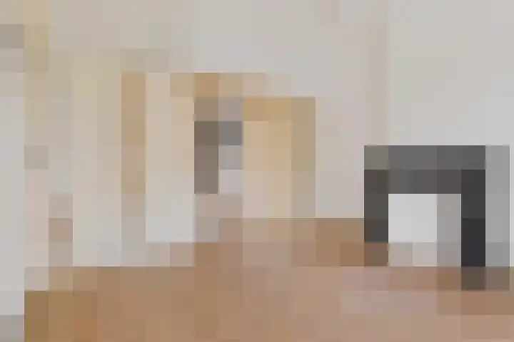 Diephuisstraat 13 Groningen thumbnail 15