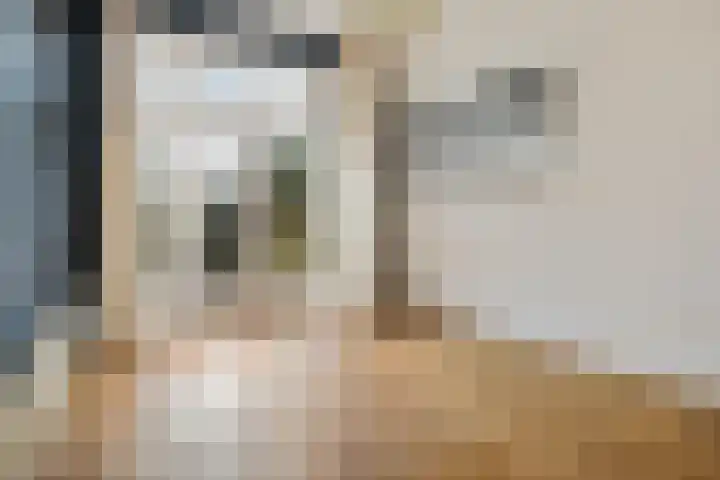 Diephuisstraat 13 Groningen thumbnail 19