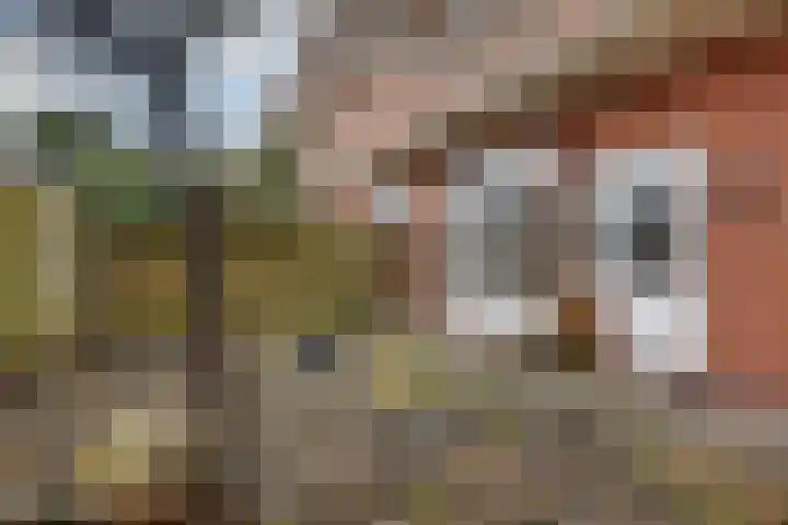 Diephuisstraat 13 Groningen thumbnail 31