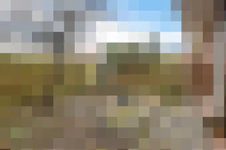 Diephuisstraat 13 Groningen thumbnail 32