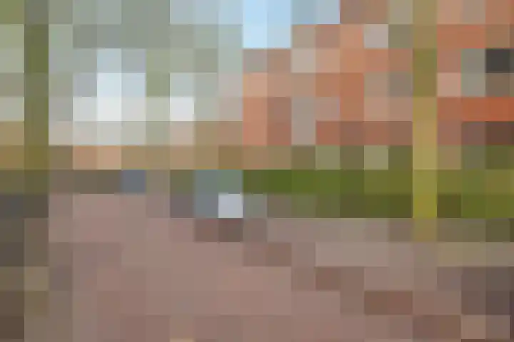 Diephuisstraat 13 Groningen thumbnail 5