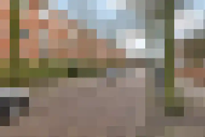 Diephuisstraat 13 Groningen thumbnail 6
