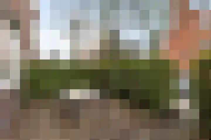 Diephuisstraat 13 Groningen thumbnail 7