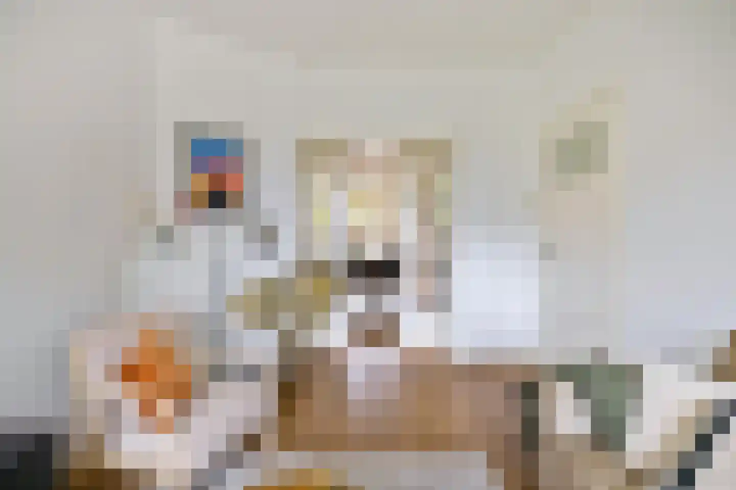Diephuisstraat 21 Groningen thumbnail 11