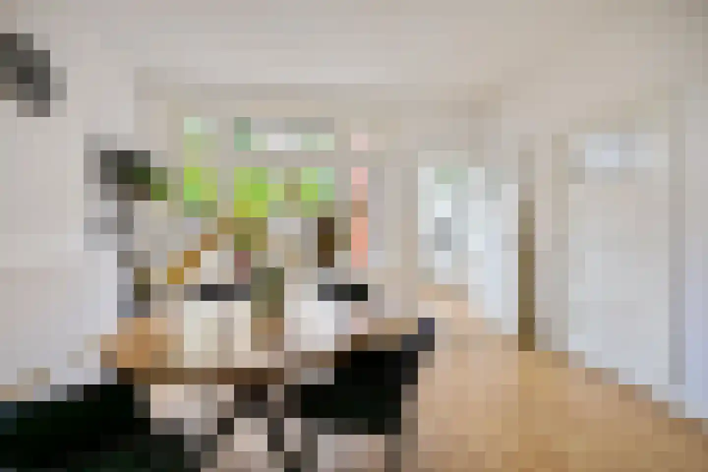Diephuisstraat 21 Groningen thumbnail 13