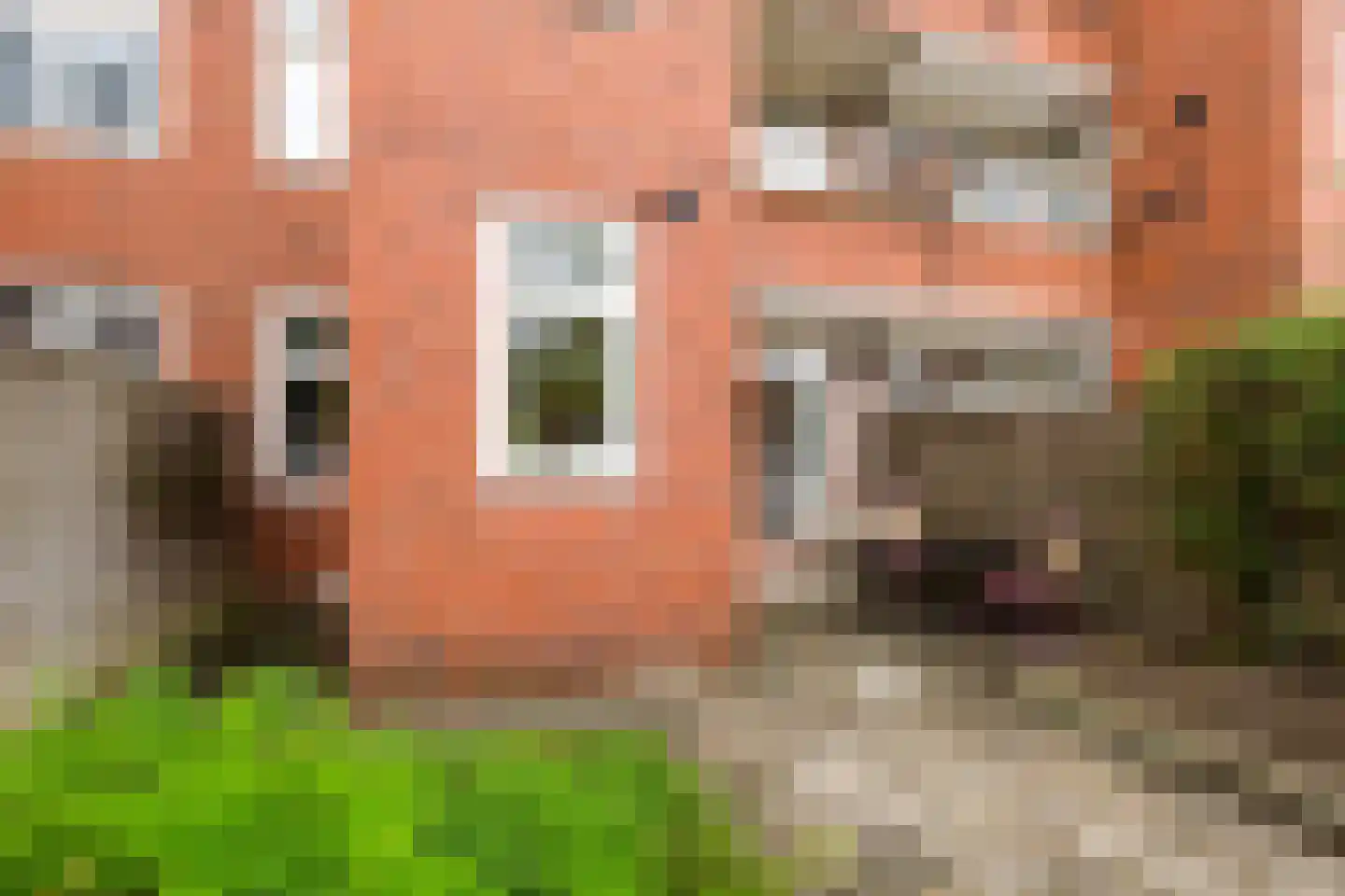 Diephuisstraat 21 Groningen thumbnail 28