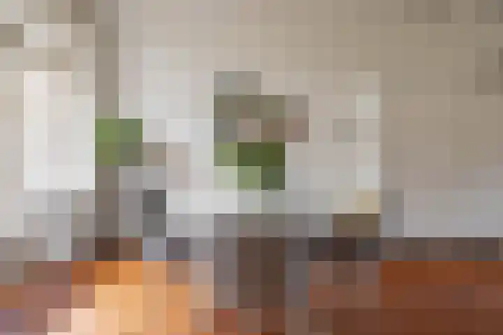 Diephuisstraat 23 Groningen thumbnail 10
