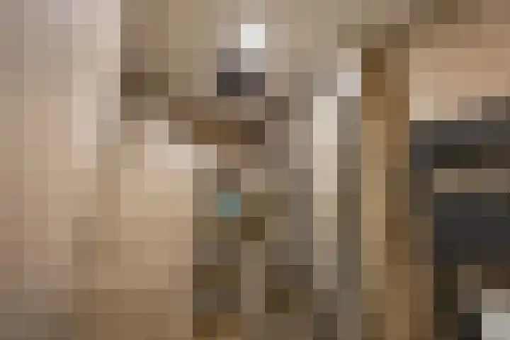 Diephuisstraat 23 Groningen thumbnail 24