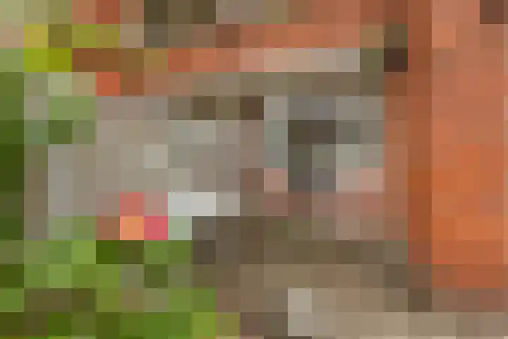 Diephuisstraat 23 Groningen thumbnail 26