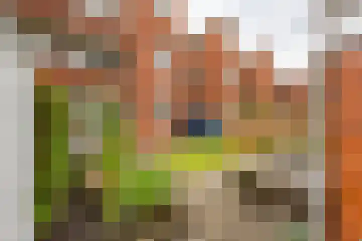 Diephuisstraat 23 Groningen thumbnail 28