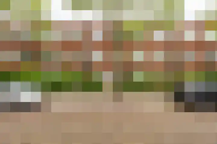 Diephuisstraat 23 Groningen thumbnail 36