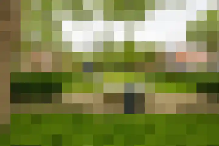 Diephuisstraat 23 Groningen thumbnail 38