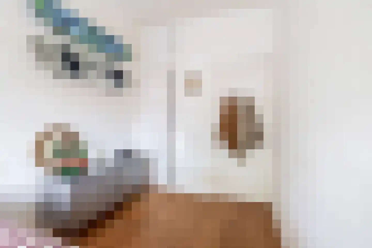 Diephuisstraat 24 b Groningen thumbnail 25
