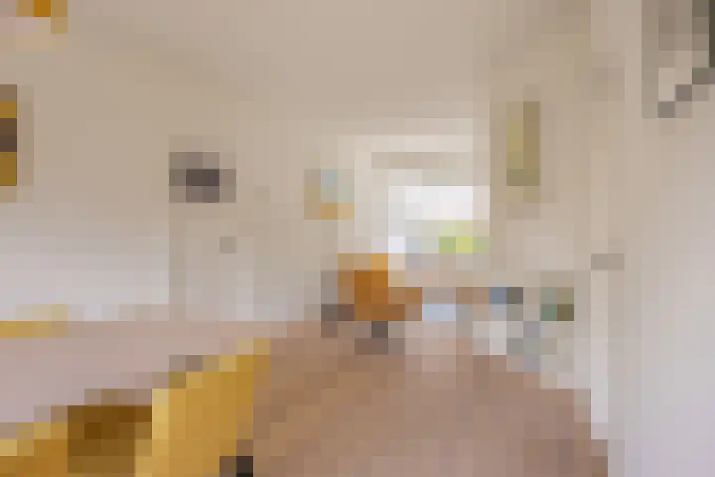 Diephuisstraat 28 Groningen thumbnail 19