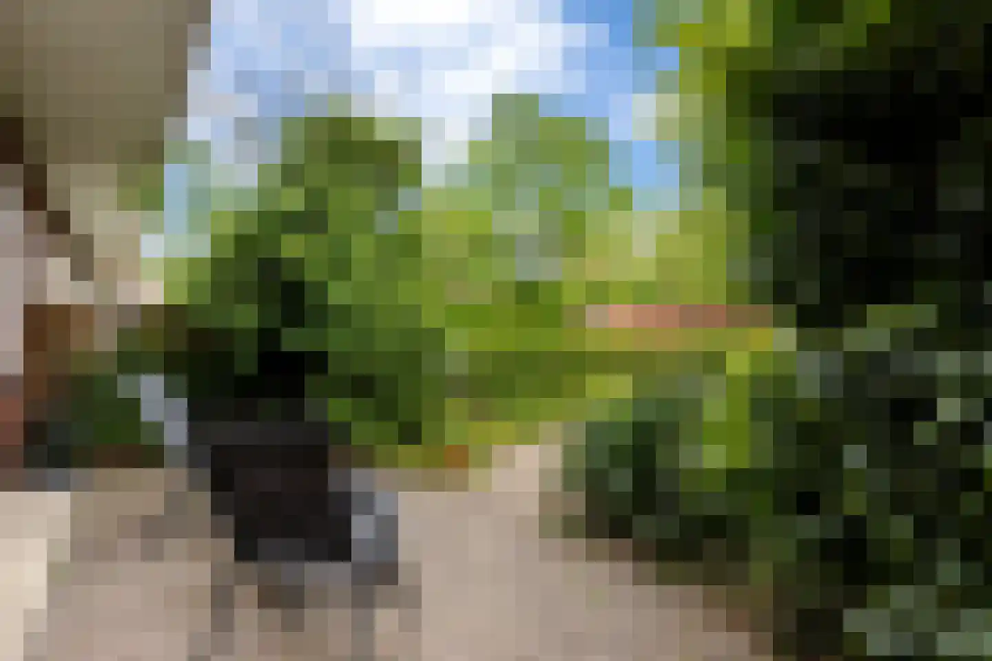 Diephuisstraat 28 Groningen thumbnail 31
