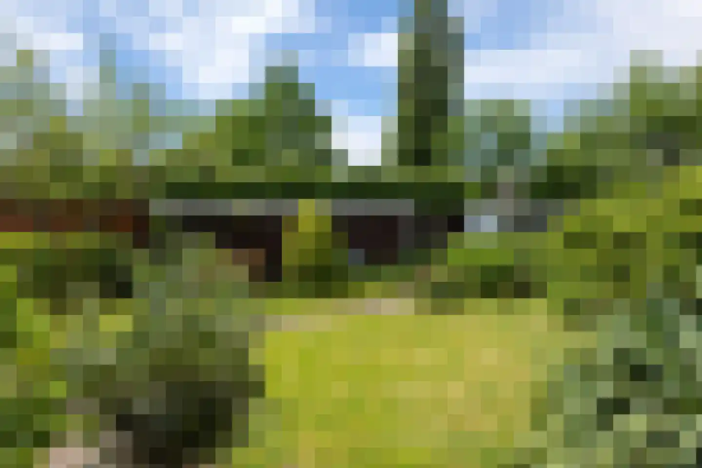Diephuisstraat 28 Groningen thumbnail 33