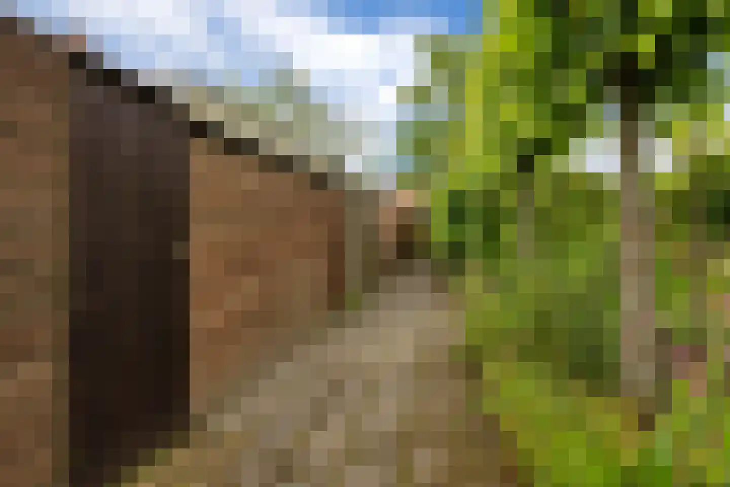 Diephuisstraat 28 Groningen thumbnail 37